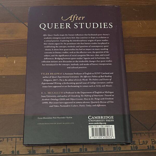 After Queer Studies edited by Tyler Bradway and E. L. McCallum - Image 3